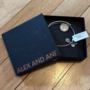 Alex and Ani Silver Charm Bracelet
